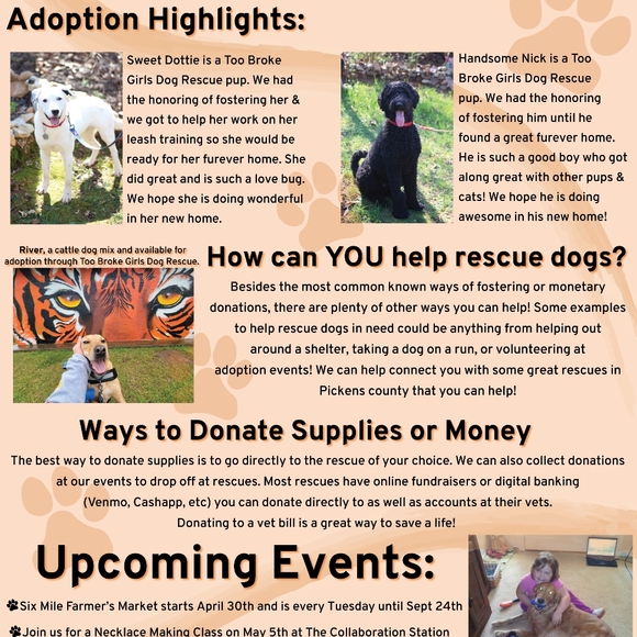 Meet your Posher, Hannah for Paws - Picture 6 of 16